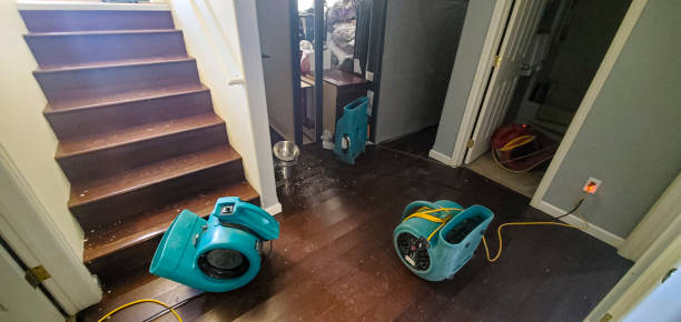 Best Mold removal after water damage  in Warwick, RI