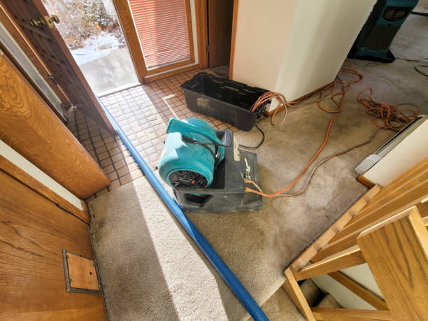Best Flood restoration services  in Warwick, RI
