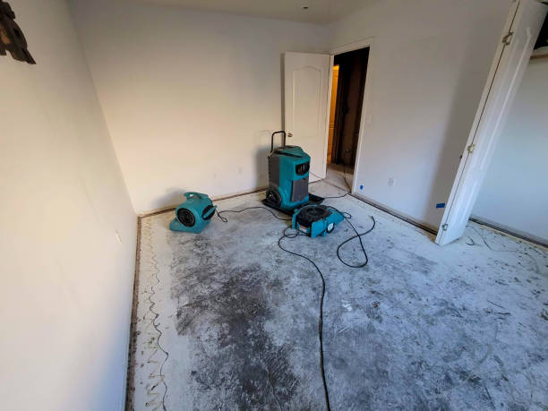 Carpet water damage restoration in RI