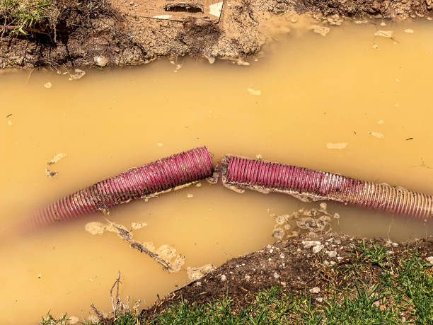 Best Water damage restoration near me  in Warwick, RI