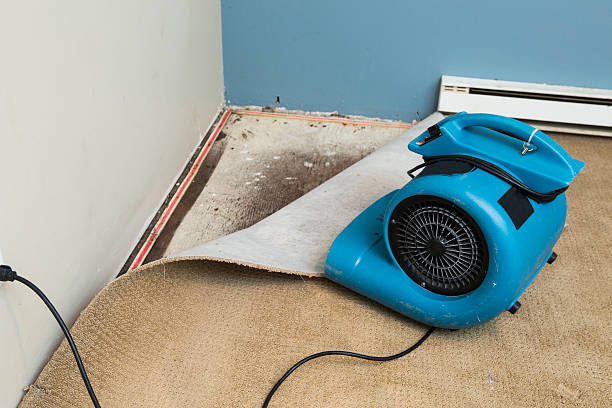 Best Local water damage restoration  in Warwick, RI